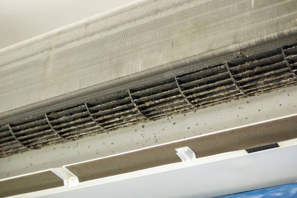 Best Dryer Vent Cleaning Services  in University Park, TX